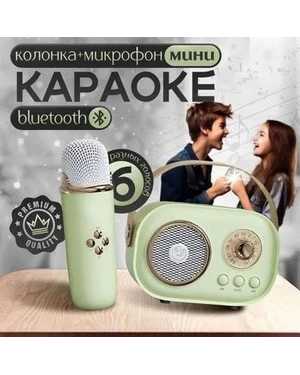 караоке система микрофон и беспроводная колонка