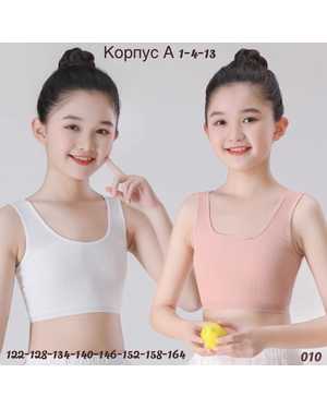 КОРПУС