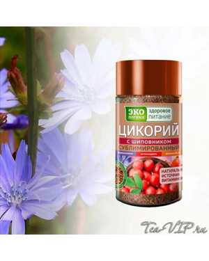 Цикорий 
