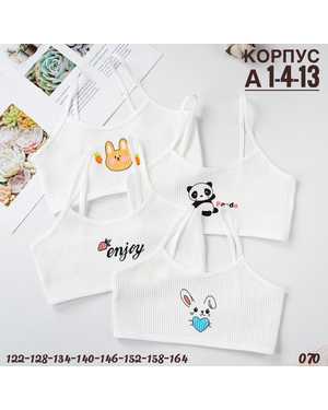 КОРПУС