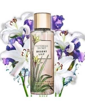 СПРЕЙ ДЛЯ ТЕЛА ЁМКОСТЬ 250 ML