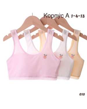 КОРПУС