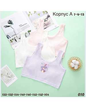 КОРПУС