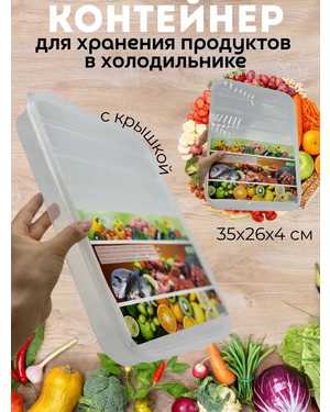 Пластиковый контейнер для хранения многоразовый