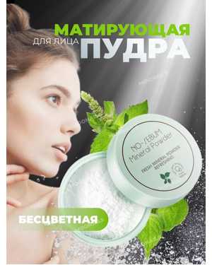 Матирующая пудра No-Sebum Mineral Powder