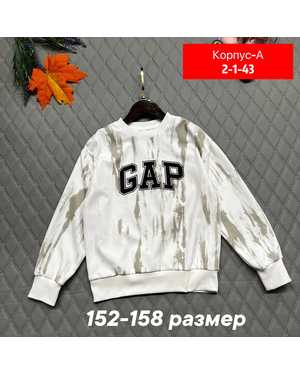 ТОЛСТОВКА В РАЗМЕР