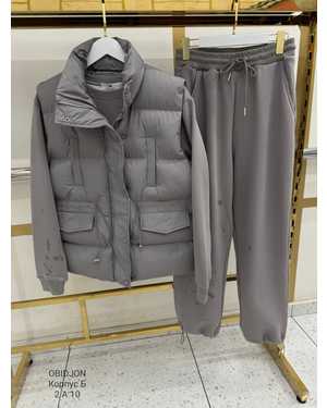 Женский Костюм тройка Утеплённый на флис Фабричный Китай