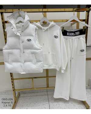 Женский Костюм тройка Утеплённый, на флисе Фабричный Китай