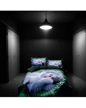 Комплект постельного белья. Ткань поплин хлопок(возможно замена на похожее)