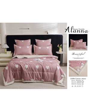 Комплект постельного белья с готовым одеялом от фирмы Alanna. Состав ткани: шелк, вискоза Наполнитель: шелк Тусса(возможно замена на похожее)