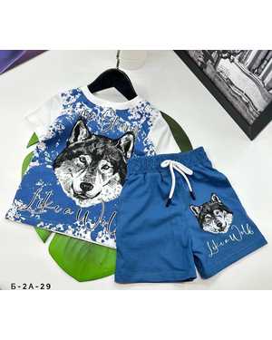 КОМПЛЕКТ ФУТБОЛКА+ШОРТЫ ТКАНЬ 100% ХЛОПОК