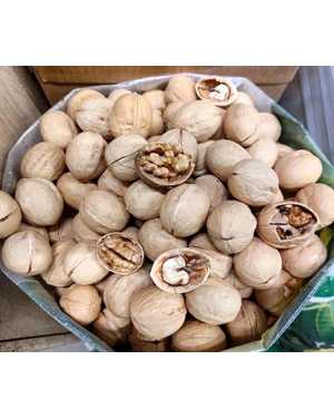 ГРЕЦКИЙ ОРЕХ Китай 1кг