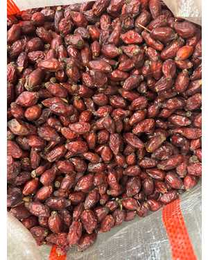 ШИПОВНИК крупный Узбекистан 1кг