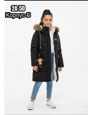 Изображение 1