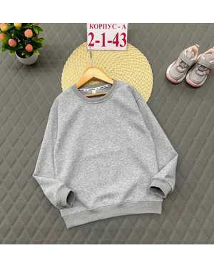 ТОЛСТОВКА ТКАНЬ ХЛОПОК