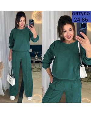 ЖЕНСКИЙ КОСТЮМ ДВОЙКА ТКАНЬ МИКРО ВЕЛЬВЕТ