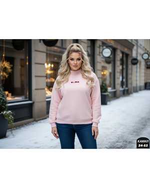 ТОЛСТОВКА ТКАНЬ ТКАНЬ ТРЁХНИТКА С НАЧЁСОМ