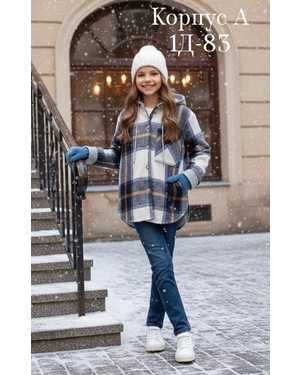 Изображение 1