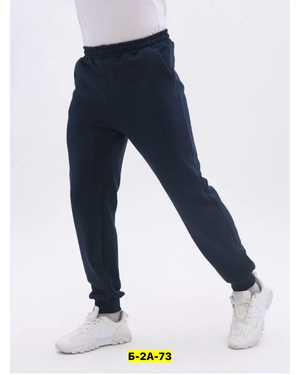 ШТАНЫ ТКАНЬ ДВУНИТКА