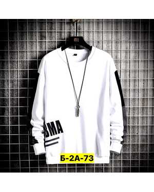 ТОЛСТОВКА ТКАНЬ ДВУНИТКА