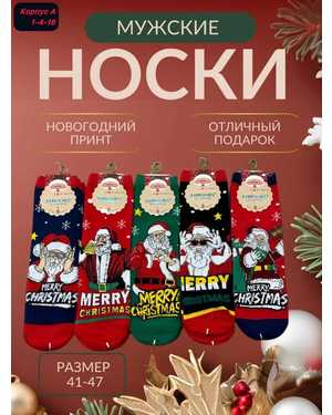 Новогодние мужские носки Размер 41-47 В упаковке 10 пар