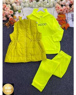 ЖЕНСКИЙ КОСТЮМ ДВОЙКА ТКАНЬ ТКАНЬ ДВОЙКА ТОЛСТОВКА НА ФЛИСЕ, ТКАНЬ ЖИЛЕТКА ПЛАЩЁВКА СИНТЕПОНЕ