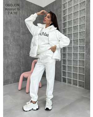 Женский Костюм тройка Утеплённый на флис Фабричный Китай