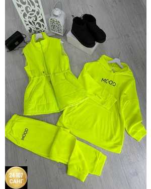 ЖЕНСКИЙ КОСТЮМ ДВОЙКА ТКАНЬ ТКАНЬ ДВОЙКА ТОЛСТОВКА НА ФЛИСЕ, ТКАНЬ ЖИЛЕТКА ПЛАЩЁВКА СИНТЕПОНЕ